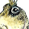 SEAWEED BLENNY