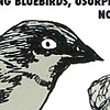 The English House Sparrow