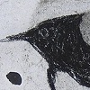 SIDEWALK PHOEBE
