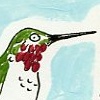 Anna's Hummingbird