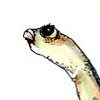 GARDEN EELS