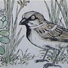 BIRDS OF HOLLYWOOD II