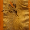 Twilight Birds (2)
