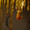 Living Rhythm Light (detail)