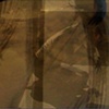 The Silhouette of Songs