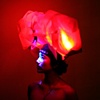 The Veil