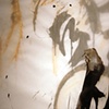 Detail, Transparencies Series