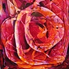 LAVANDER ROSE