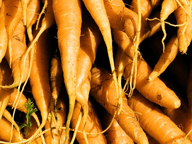 Carrots, Farmer's market, London