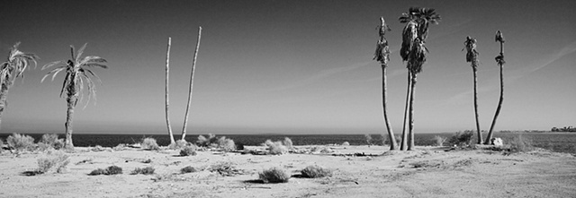 Salton Sea Vista, California