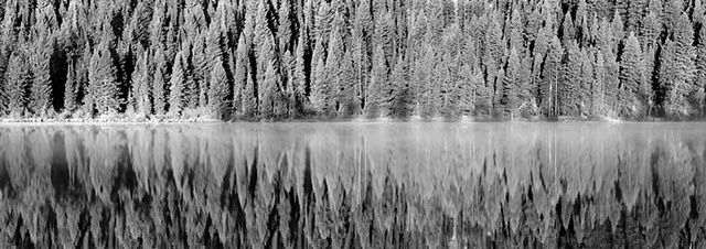 String Lake Reflections, Grand Teton National Park