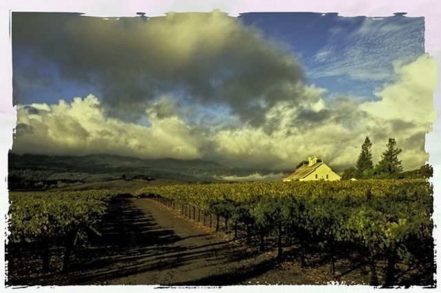 Usabelli Ranch, Rutherford, California