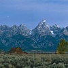Mormon Row Morning, Grand Tetons, Wyoming