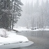 Merced River Snowfall, Yosemite National Park