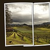 Panoramas
