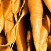 Carrots, Farmer's market, London