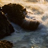 School House Beach, Bodega, California