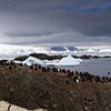 Kinnes Cove, Antarctic Peninsula