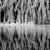 String Lake Reflections, Grand Teton National Park