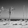 Salton Sea Vista, California
