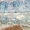 Neko Harbor Antarctic Peninsula
