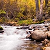Bishop Creek, Eastern Sierra