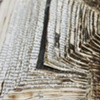 extrovert (detail II)