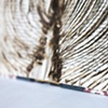 charismatic (detail)