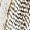 sanguine (detail)