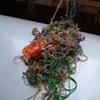 Rubber Rhizome, spent