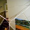 Rubber Rhizome II