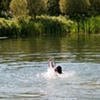 Float
