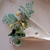 Funerary Bone