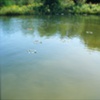 Float