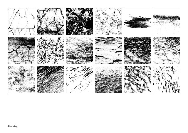 Thursday Studies