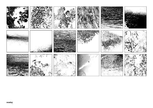 Sunday Studies