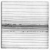 Horizon Study