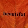 my personal autumn 