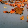 my personal autumn
