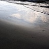 Water Study# 7
