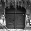 Door Series #7