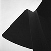 Black Wing