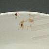 Food Debris Bowl (detail)