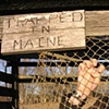 Trapped in Maine