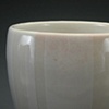 Lipstick Stain Tumbler (detail)
