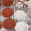 plates in progress