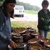 Salad Days Event