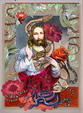 Snake Charmer