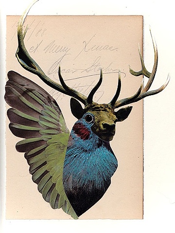The Peryton