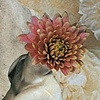 Persephone